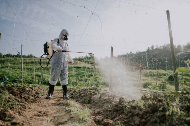 Best Affordable Pest Control Services  in Ogdensburg, NY