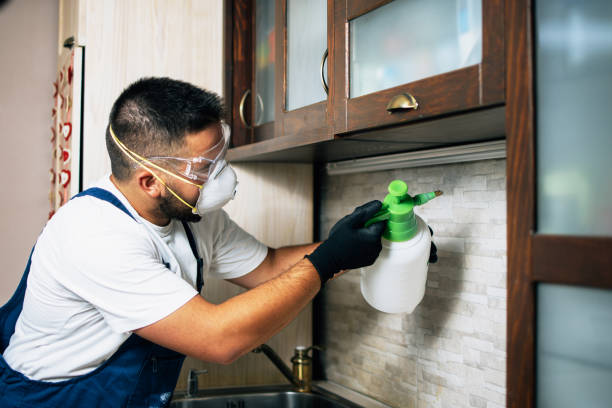 Best Pest Prevention Services  in Ogdensburg, NY