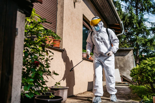 Best Wildlife Control Services  in Ogdensburg, NY