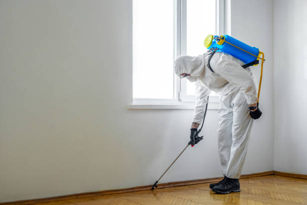 Best Pest Control for Restaurants  in Ogdensburg, NY