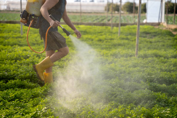 Best Exterminator Services  in Ogdensburg, NY