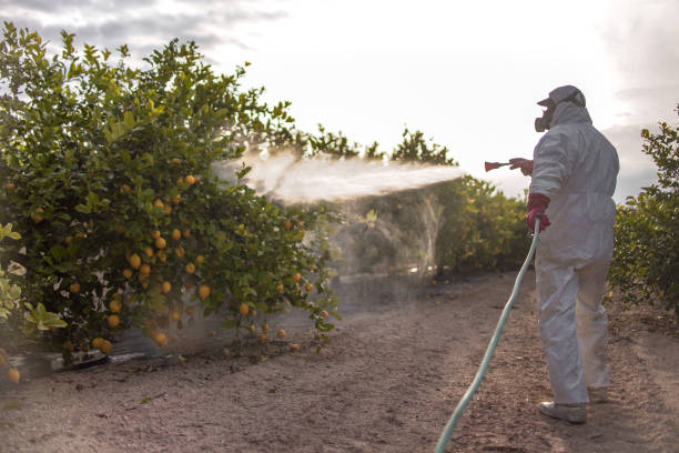 Best Ant Control Services  in Ogdensburg, NY