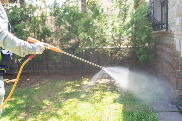 Best Bird Control  in Ogdensburg, NY