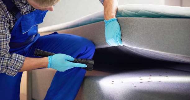 Best Flea Control Services  in Ogdensburg, NY