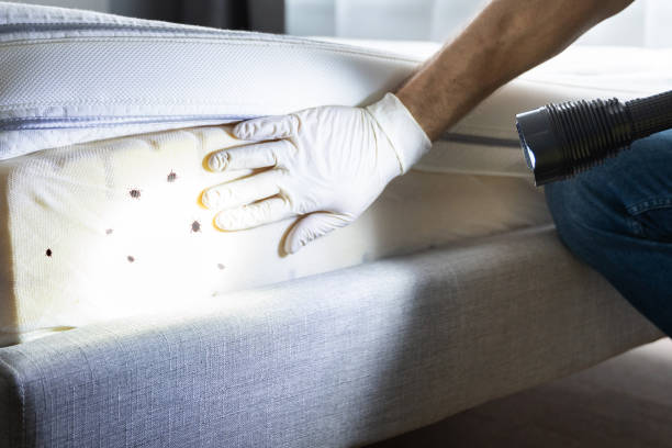 Best Affordable Pest Control Services  in Ogdensburg, NY
