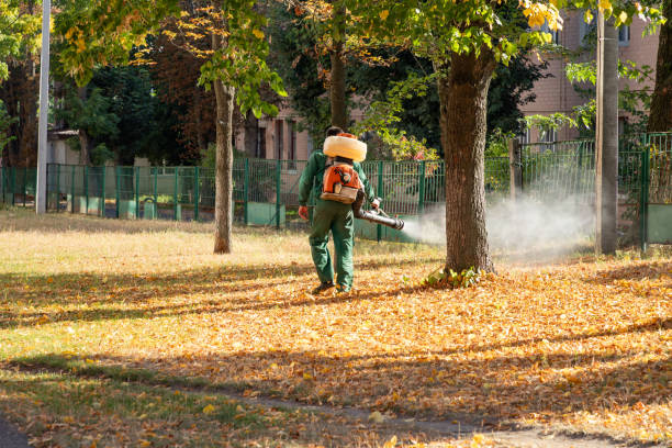 Bird Control in Ogdensburg, NY