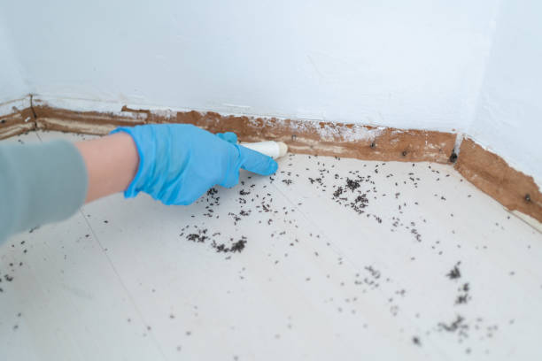 Best Pest Control for Businesses  in Ogdensburg, NY